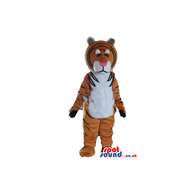 Mascot costume of a tiger - your mascot in a box! - Custom