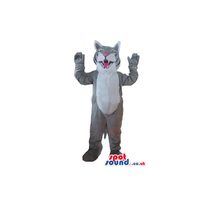 Grey cat with white belly, yellow eyes and pink nose - Custom