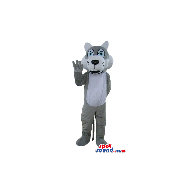Grey and white wolf with big blue eyes and sharp teeth - Custom
