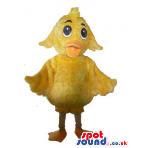Yellow chicken with big eyes and an orange beak - Custom Mascots