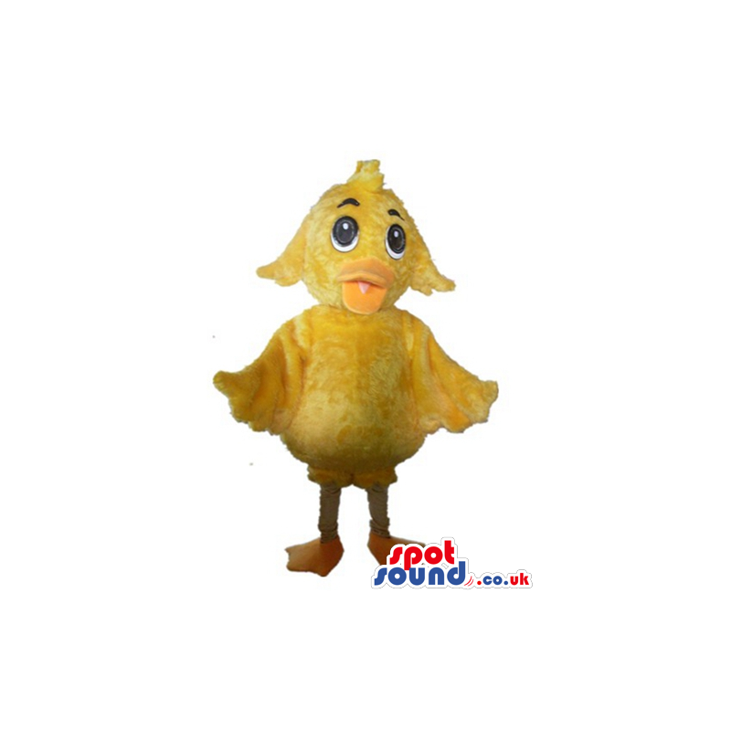 Yellow chicken with big eyes and an orange beak - Custom Mascots