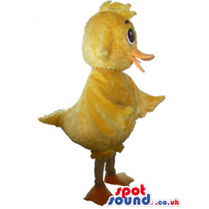 Yellow chicken with big eyes and an orange beak - Custom Mascots