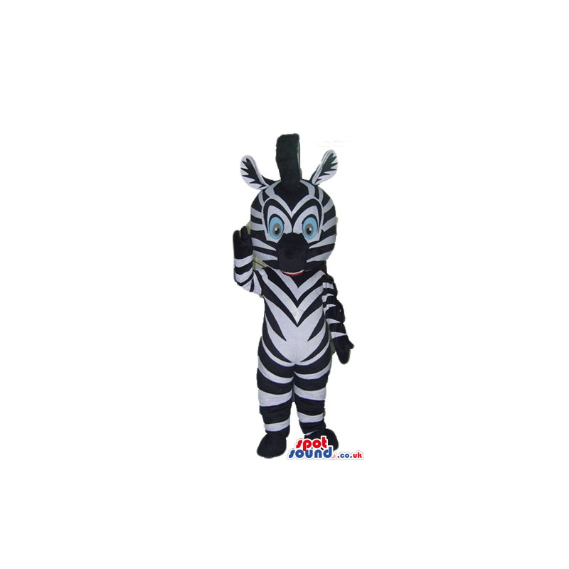 Zebra with light blue eyes - Custom Mascots