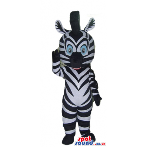 Zebra with light blue eyes - Custom Mascots