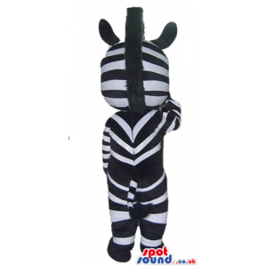 Zebra with light blue eyes - Custom Mascots