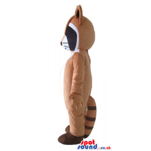 Mascot costume of a brown raccoon - Custom Mascots