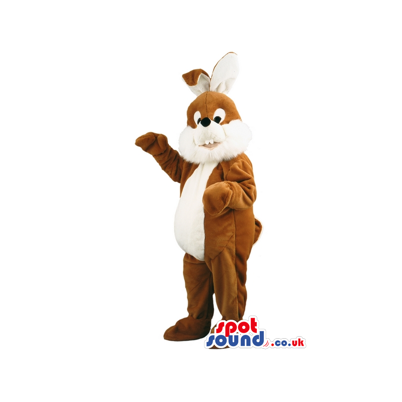 Brown and white bunny rabbit mascot with white underbelly -