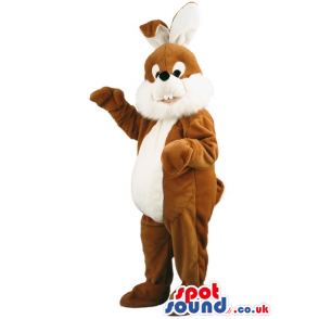 Brown and white bunny rabbit mascot with white underbelly -