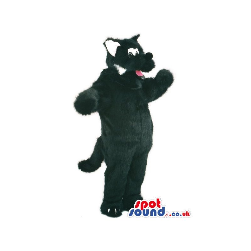 Overjoyed black wolf mascot with long tail and white ears -