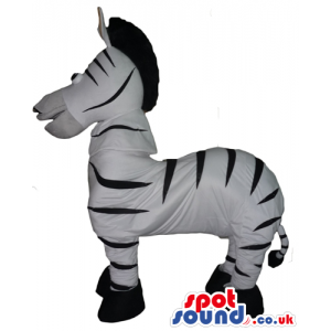 Black and white zebra - your mascot in a box! - Custom Mascots