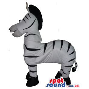 Black and white zebra - your mascot in a box! - Custom Mascots