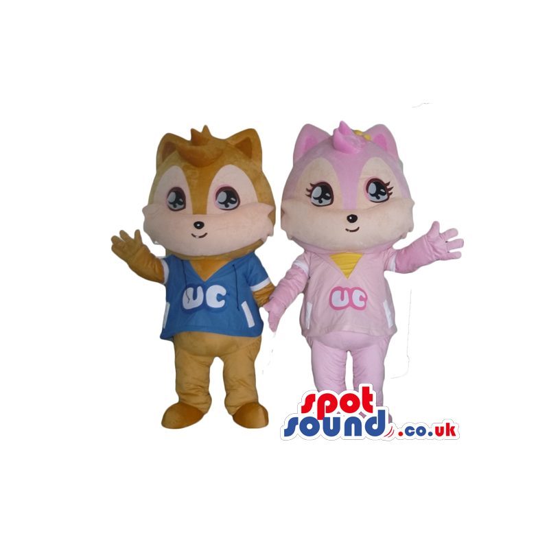 Brown squirrel wearing a blue t-shirt and pink squirrel in a
