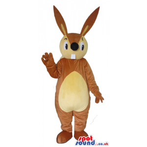 Brown and yellow rabbit with large teeth and a big nose. -