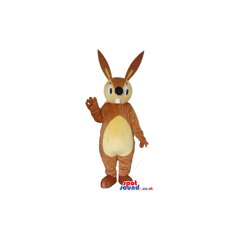 Brown and yellow rabbit with large teeth and a big nose. -