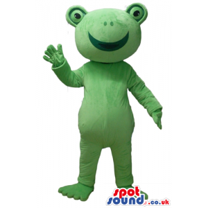 Smiling green frog - your mascot in a box! - Custom Mascots