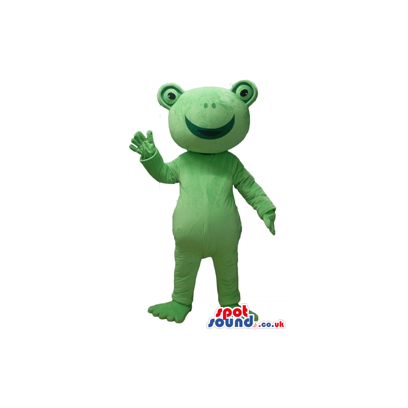 Smiling green frog - your mascot in a box! - Custom Mascots