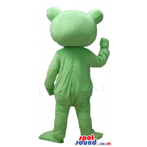 Smiling green frog - your mascot in a box! - Custom Mascots
