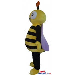 Bee with big eyes and purple wings - Custom Mascots