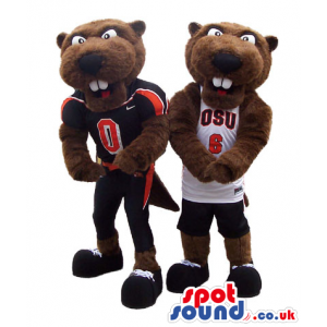 Two brown beaver mascots with sports T-shirts and shoes