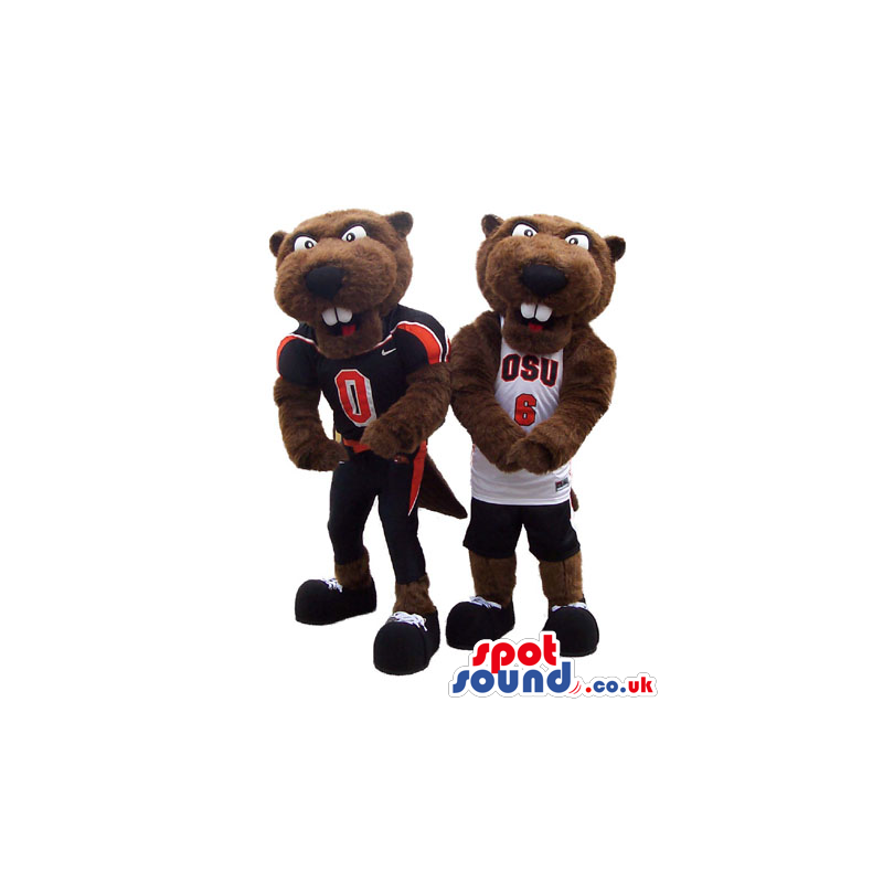 Two brown beaver mascots with sports T-shirts and shoes -