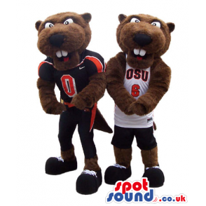 Two brown beaver mascots with sports T-shirts and shoes -