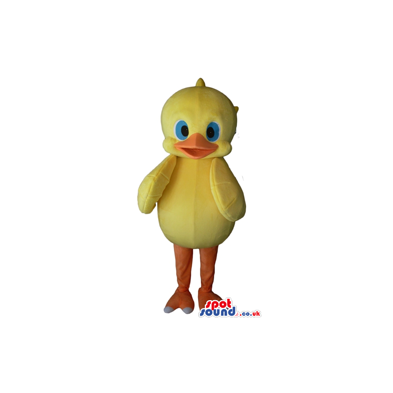 Yellow duck with orange beak and legs and big blue eyes -
