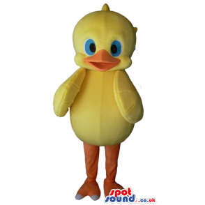 Yellow duck with orange beak and legs and big blue eyes -