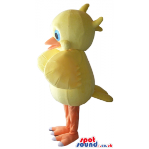 Yellow duck with orange beak and legs and big blue eyes -