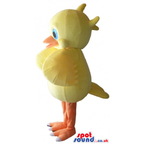 Yellow duck with orange beak and legs and big blue eyes -