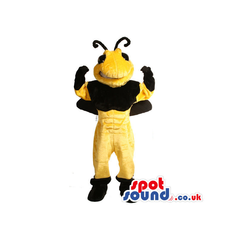 Muscular bee mascot with black upper body and yellow abs -