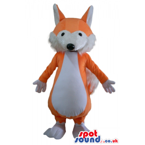 Orange and white fox - your mascot in a box! - Custom Mascots