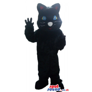 Black cat with light-blue eyes and a white nose - Custom Mascots