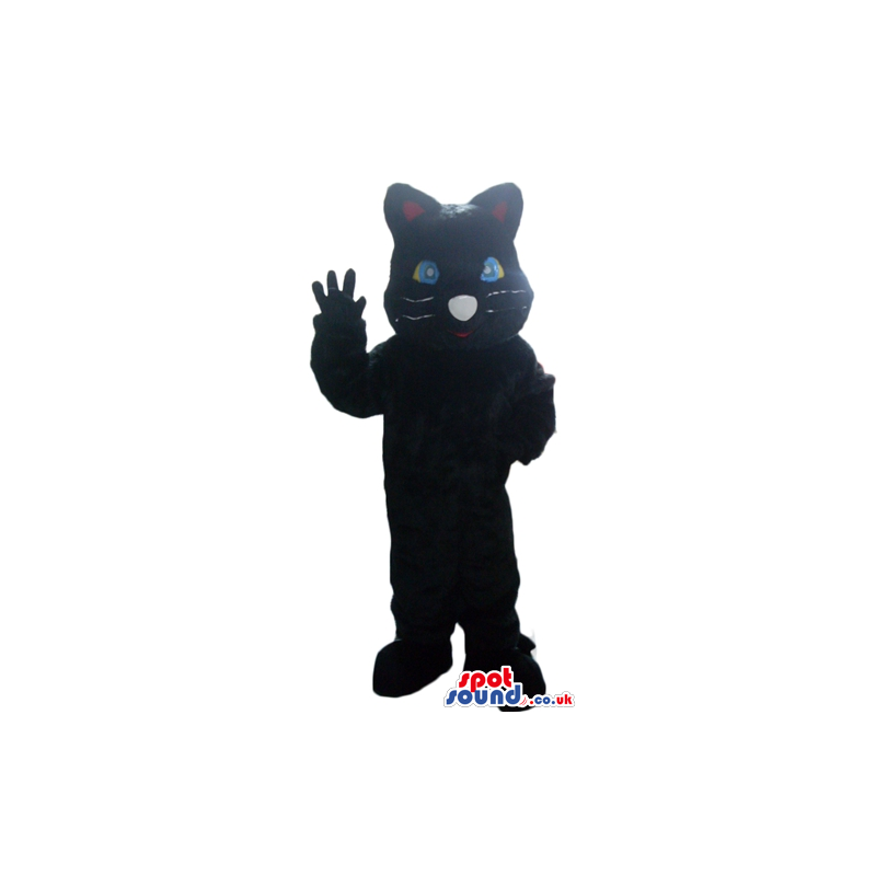 Black cat with light-blue eyes and a white nose - Custom Mascots