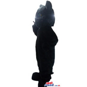 Black cat with light-blue eyes and a white nose - Custom Mascots