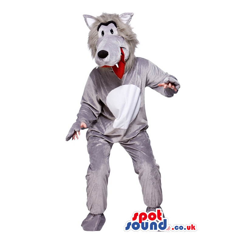 Grey wolf mascot with black eyes and nose and white teeths -