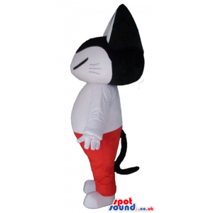 White cat with black head wearing a white t-shirt and red