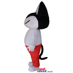 White cat with black head wearing a white t-shirt and red