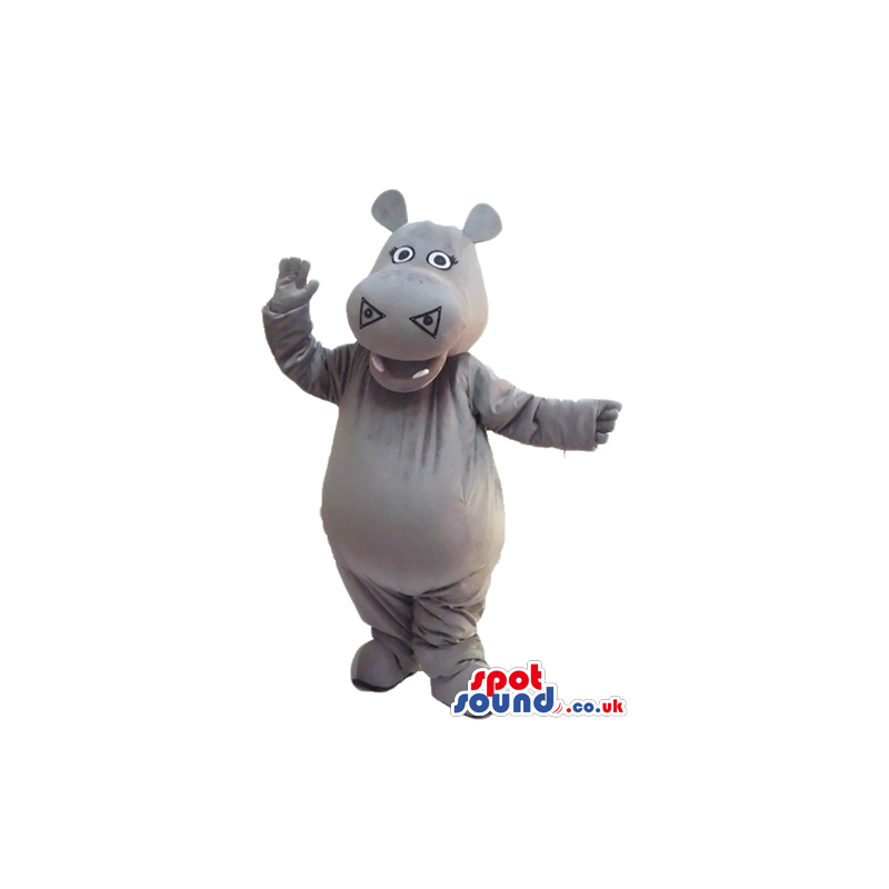 Smiling grey hippo - your mascot in a box! - Custom Mascots