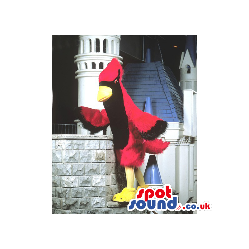 Red and black jay bird mascot with wings, yellow beak and legs