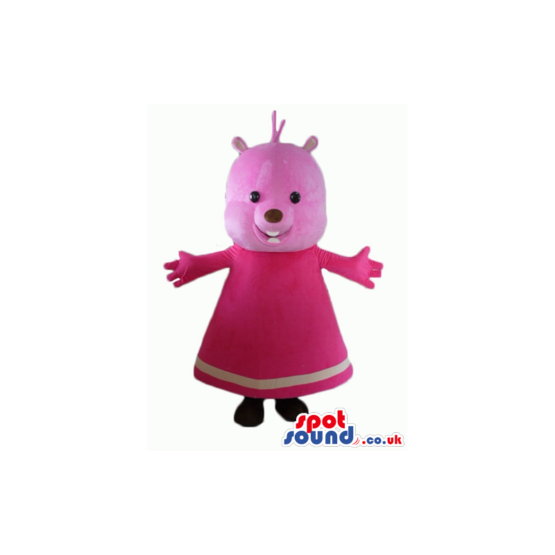 Pink bear with small black eyes wearing a long pink dress -