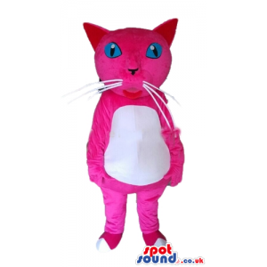 Pink cat with light-blue eyes and a white belly - Custom Mascots