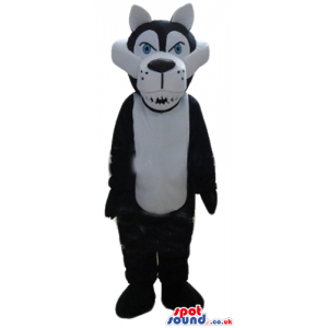 Fierceful black and white wolf with blue eyes - Custom Mascots