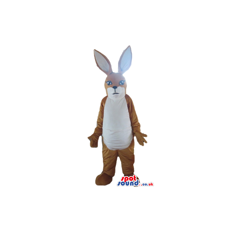 Serious brown and white rabbit with long ears - Custom Mascots