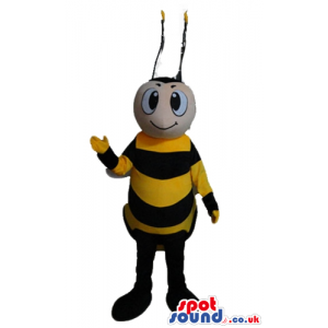 Bee with a round face and long antennae - Custom Mascots