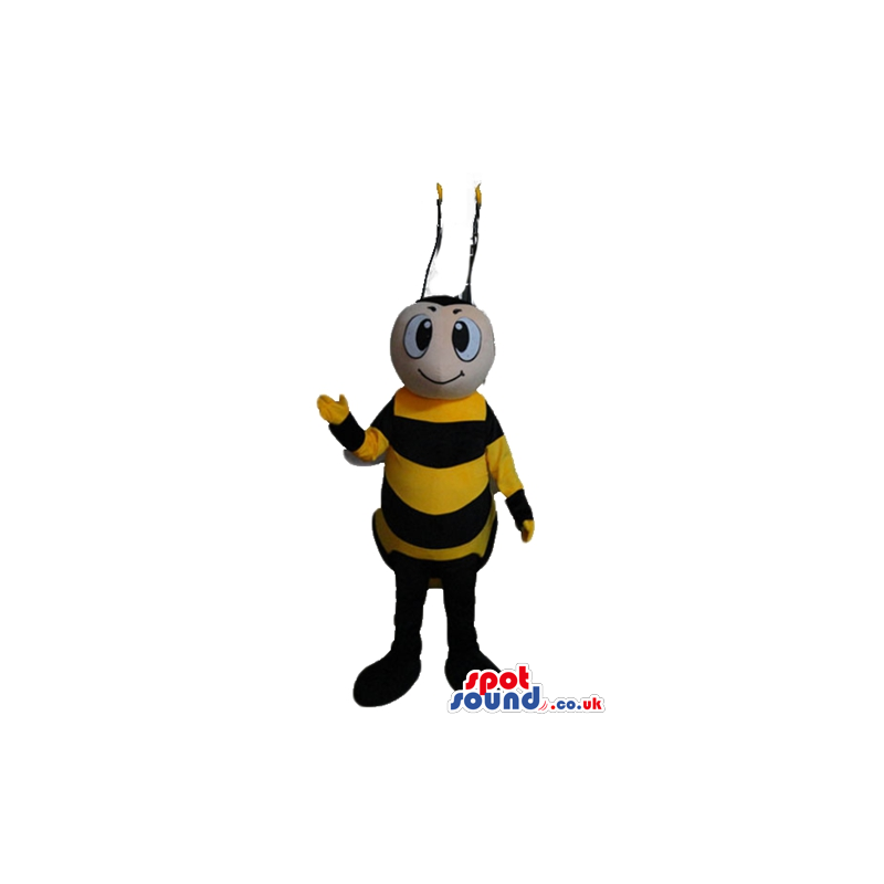 Bee with a round face and long antennae - Custom Mascots