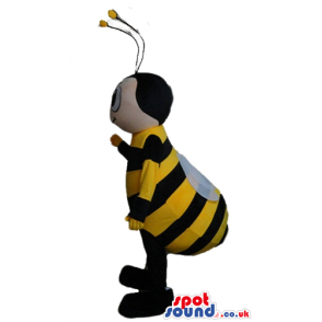 Bee with a round face and long antennae - Custom Mascots