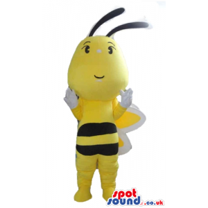 Bee with a large head and yellow and white wings - Custom
