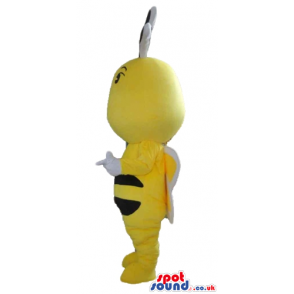 Bee with a large head and yellow and white wings - Custom