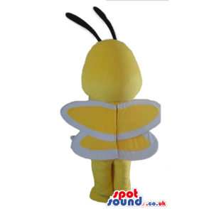 Bee with a large head and yellow and white wings - Custom