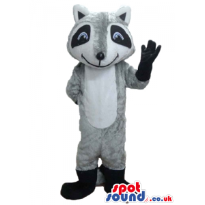 Grey and white koala with blue eyes and black boots and gloves